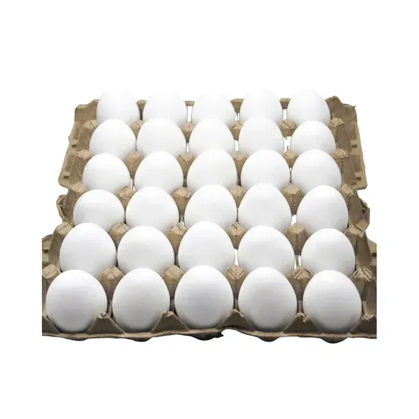 Fresh Eggs